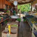 289772954 104822178952615 4141645301719355774 n 150x150