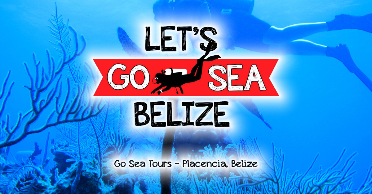 504079456_18374968228130232_864965414908770789_n