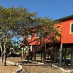 503555504 122137735724676311 6960844365142388547 n 150x150