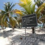 618751772 1489167299882801 548989697802176447 n 150x150