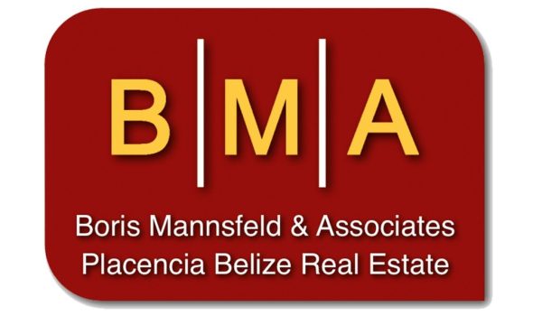 Boris Mannsfeld & Associates Icon